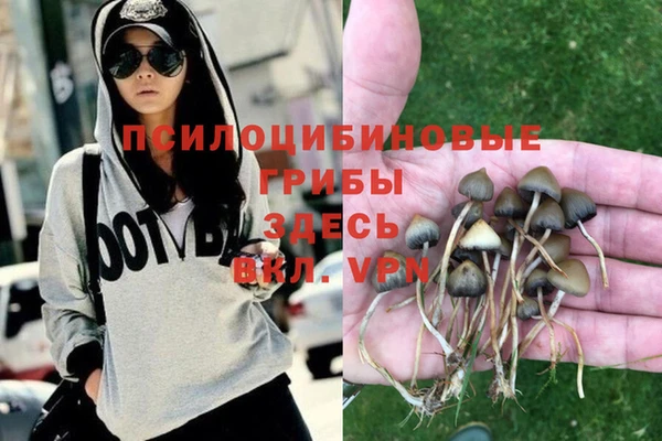 гашик Заволжье