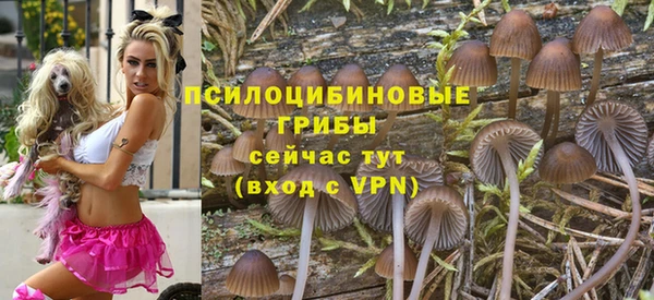 твердый Алзамай