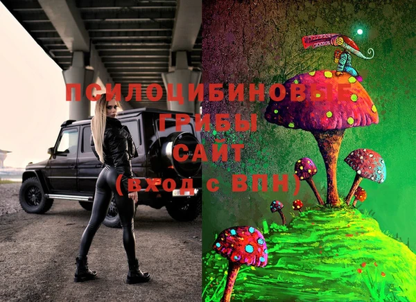 твердый Алзамай